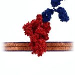 Biochemistry 32nd Edition McGraw Hill Kindle eBook-0