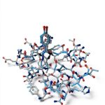 Biochemistry Kindle Book English Language 639 Pages-0