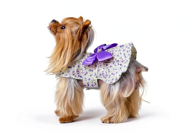 Floral Print Dog Dress by MSNFOASM Satin Bow Pearl Trim Small Size-6