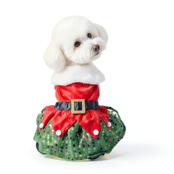 Dog Christmas Dress Set by ChezAbbey – Red Belt & Green Sequin Skirt-2