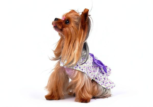 Floral Print Dog Dress by MSNFOASM Satin Bow Pearl Trim Small Size-7