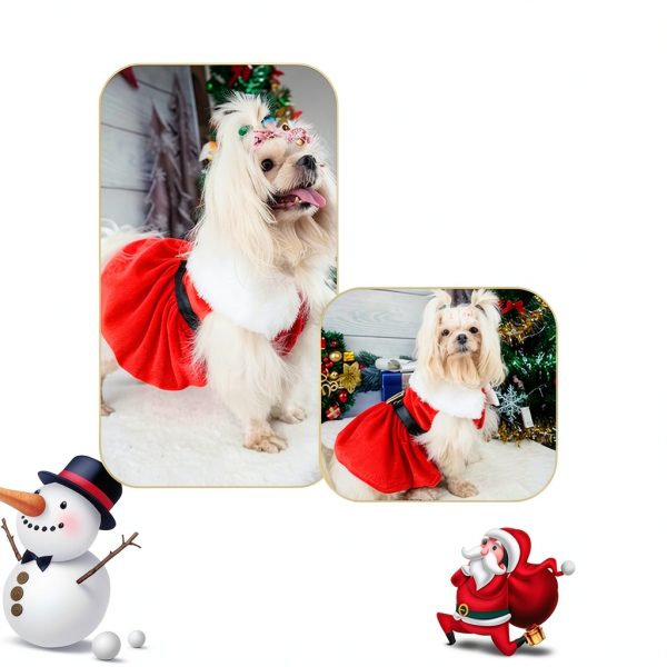 Dog Christmas Costume Qidelong Pet Dress Red Size M-2