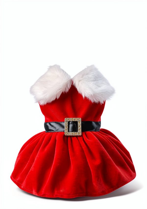 Dog Christmas Costume Qidelong Pet Dress Red Size M-3