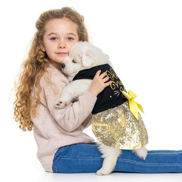Dog Happy New Year Outfit BAOBICUTE Dress Elastic Waist Gold Bow-2