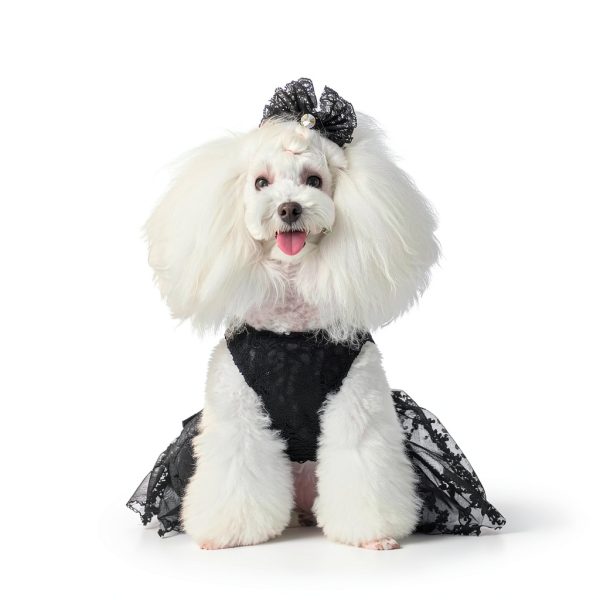CuteBone Dog Dress Small Puppy Tutu Lotus Pink Embroidered Model DD15M-5